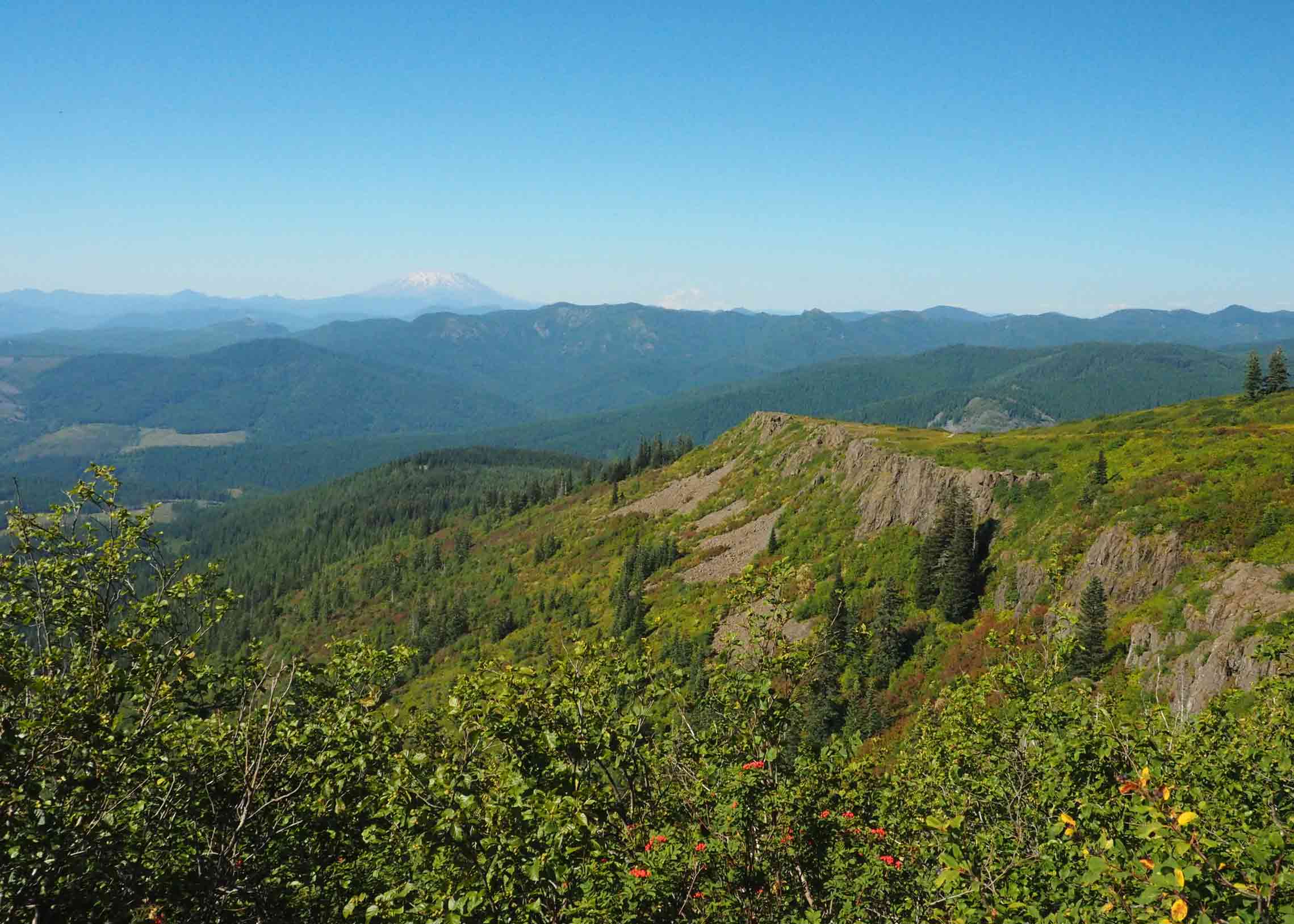 Chinook Trail