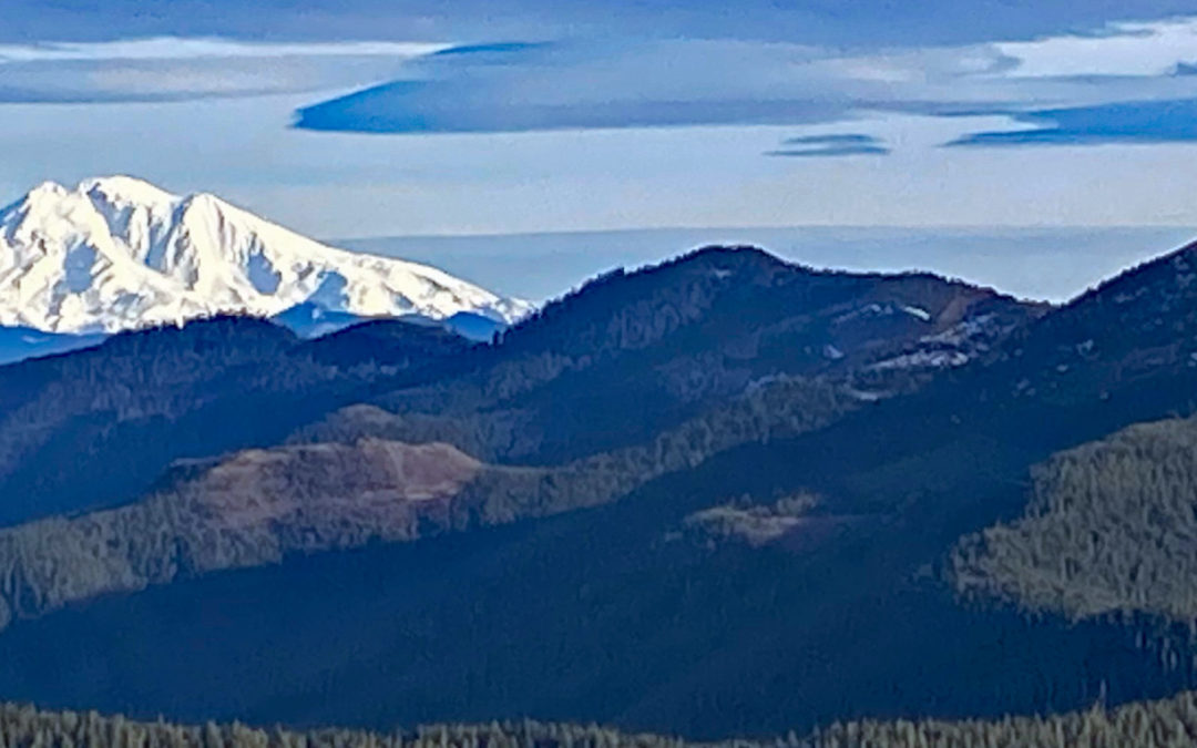 Bluff Mountain Trail