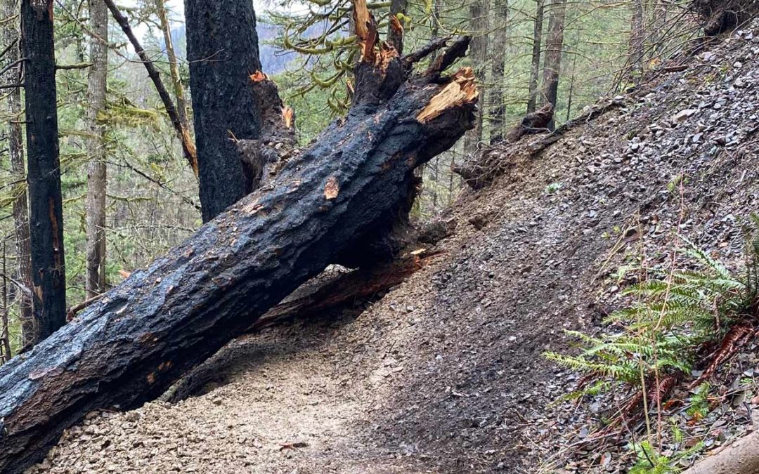 Eagle Creek Trail Closure Work